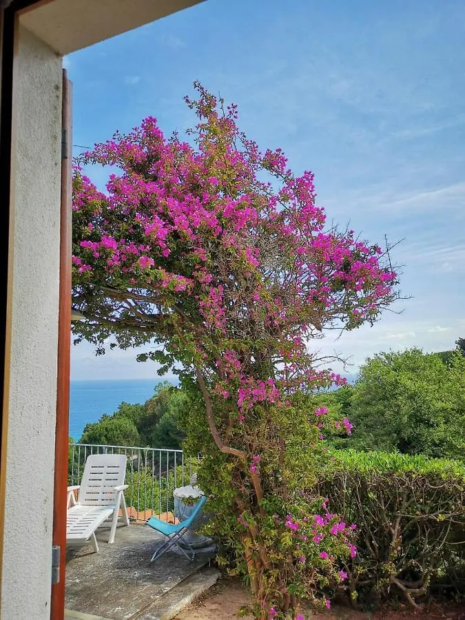 Casa Panoramica Bouganville SantʼAndrea 0*,  Italien