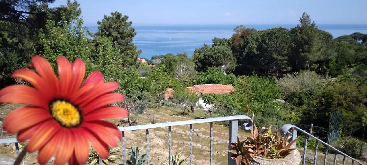 Casa Panoramica Bouganville SantʼAndrea Italien