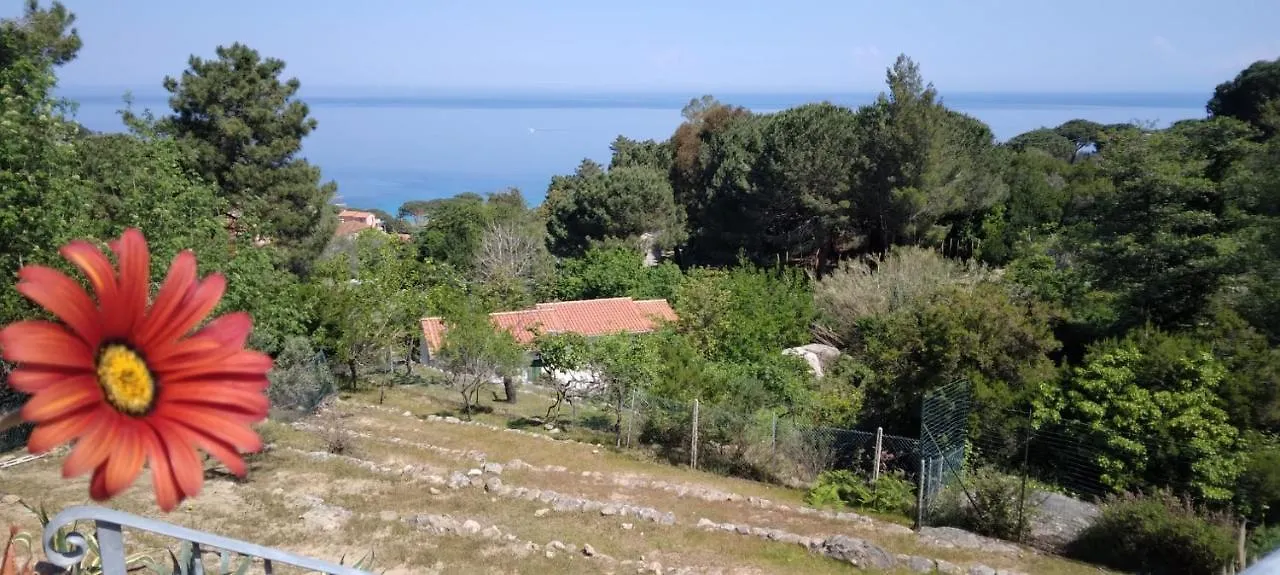Casa Panoramica Bouganville Sant'Andrea  0*, Sant'Andrea (Isola d'Elba) Italy